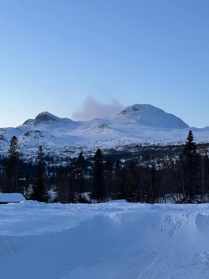 Brand New Cabin On The Sunny Side Of Gaustatoppen With A Great View Tuddal Buitenkant foto