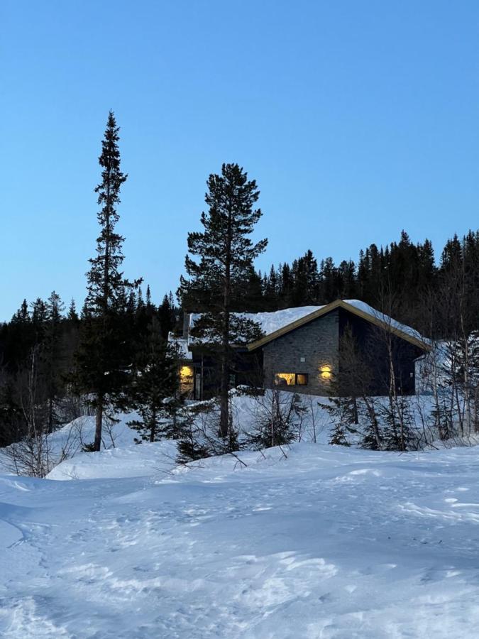 Brand New Cabin On The Sunny Side Of Gaustatoppen With A Great View Tuddal Buitenkant foto