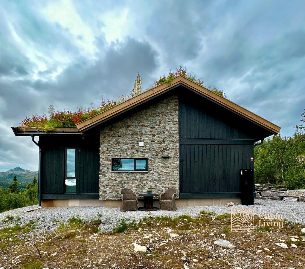 Brand New Cabin On The Sunny Side Of Gaustatoppen With A Great View Tuddal Buitenkant foto