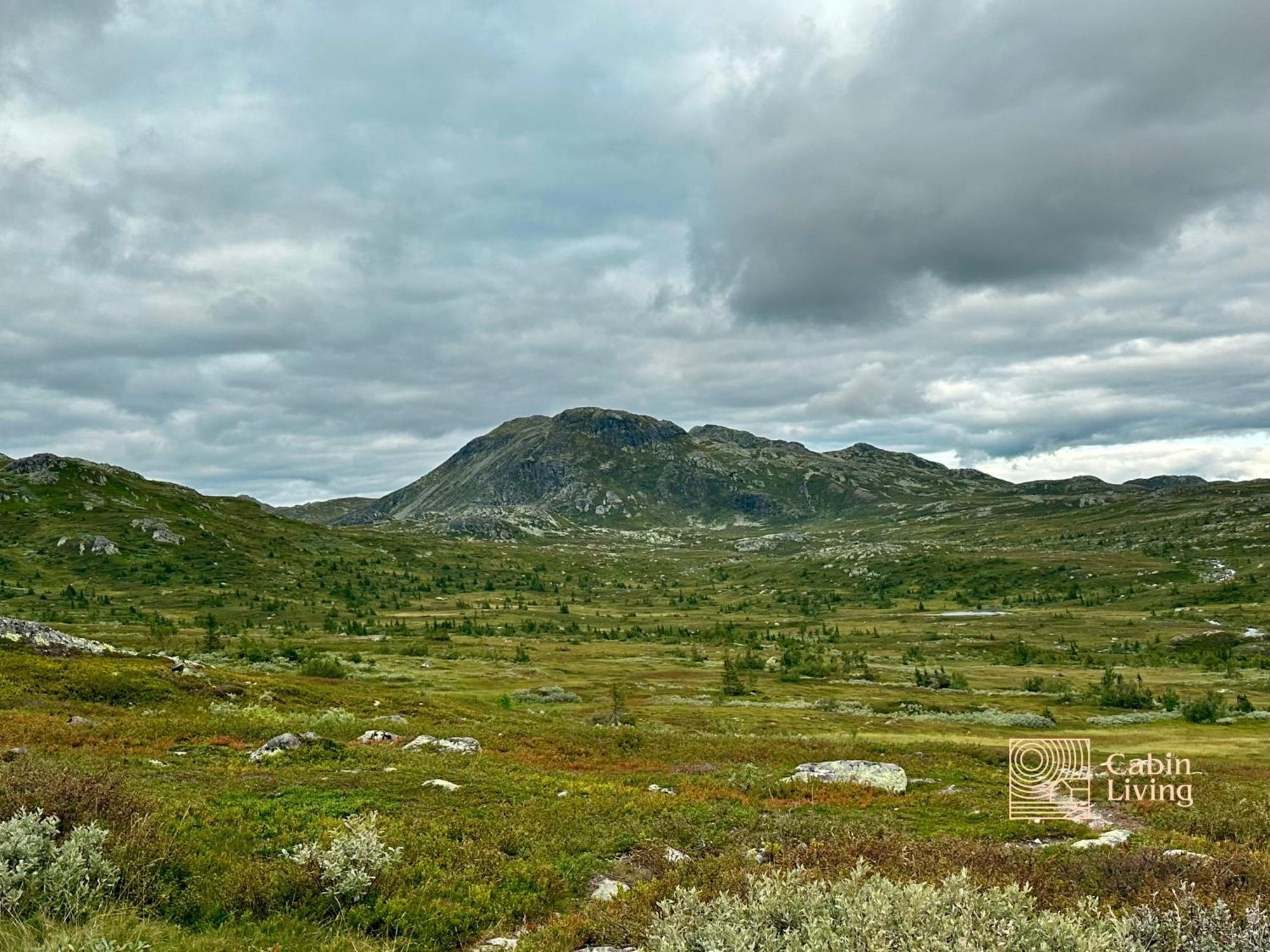 Brand New Cabin On The Sunny Side Of Gaustatoppen With A Great View Tuddal Buitenkant foto