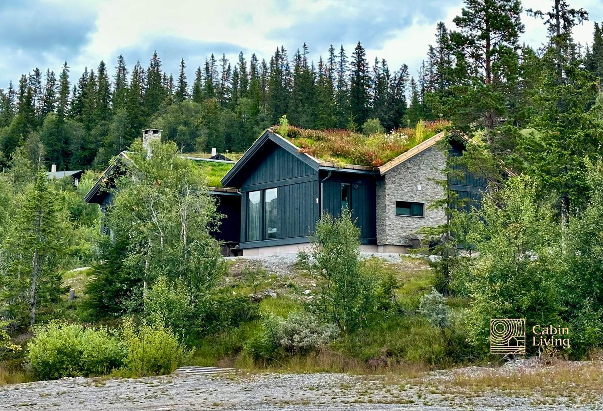 Brand New Cabin On The Sunny Side Of Gaustatoppen With A Great View Tuddal Buitenkant foto